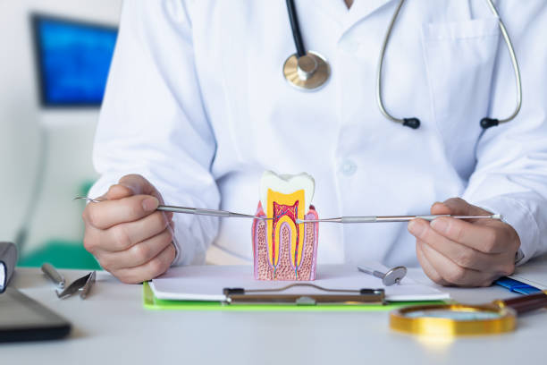 Best Pediatric Emergency Dentist in Jennings Lodge, OR